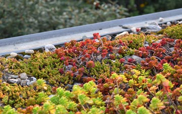 the cost of New Moat green roof installation