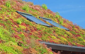 New Moat living roof systems