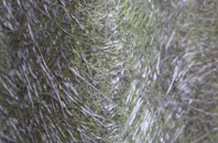 New Moat fibreglass roof work